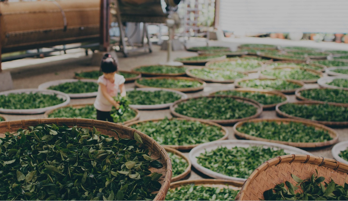 จังหวัดราชบุรี ^__^ นางสาวนิภา  ทองก้อน หัวหน้ากลุ่มงานสารสนเทศการพัฒนาชุมชน พร้อมด้วยนักวิชาการกลุ่มงานสารสนเทศการพัฒนาชุมชน ติดตามการบริหารการจัดเก็บข้อมูล จปฐ./พื้นฐาน ปี 2559