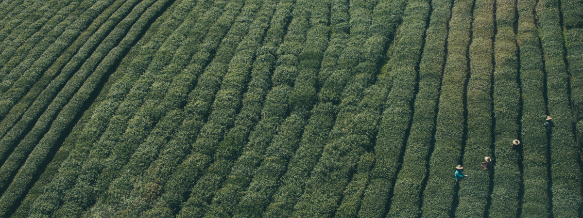 จังหวัดราชบุรี >>> 4 มีนาคม 2559เวลา 10.00น. นายไพบูลย์ บูรณสันติ พัฒนาการจังหวัดราชบุรี เป็นประธานในการประชุมผู้ประกอบการ OTOP เพื่อเตรียมความพร้อมในการจำหน่ายสินค้าในงาน ท่องเที่ยวราชบุรี ของดีเมืองโอ่ง ปี 2559 ระหว่างวันที่ 4-13 มีนาคม 2559 ณ ถนนรอบศา