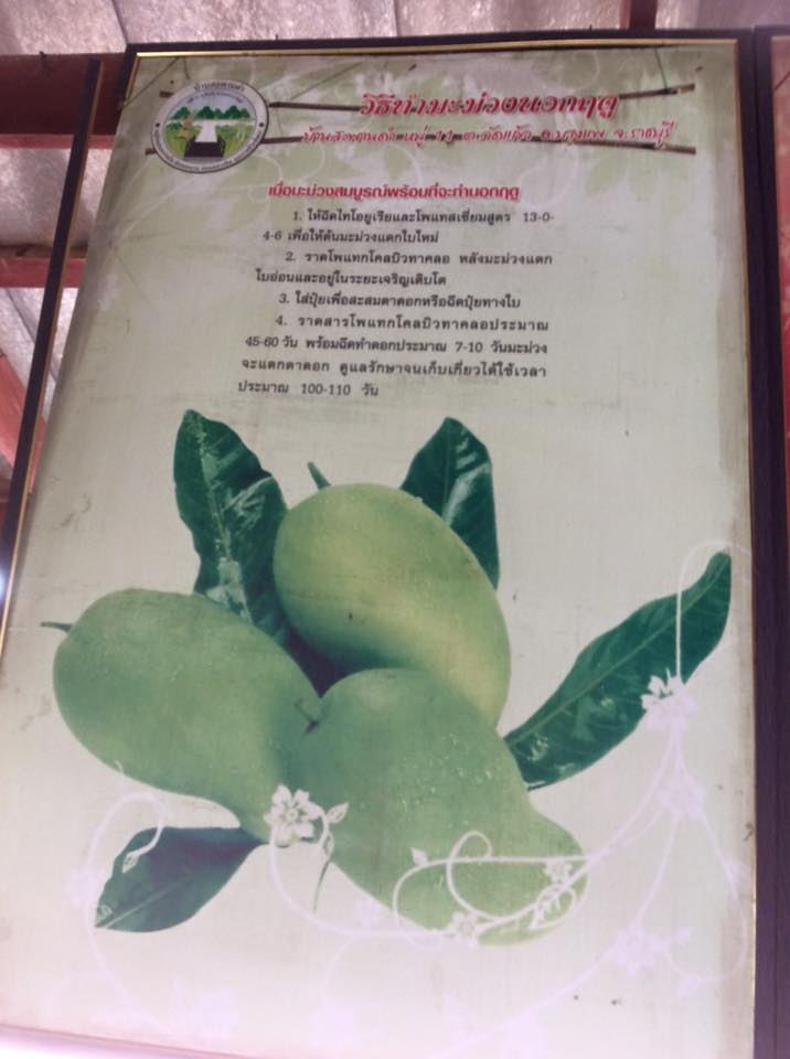 ราชบุรีขับเคลื่อนประชารัฐ วันที่ 7 เมษายน 2559 เวลา 13.30 น. นายสุรพล แสวงศักดิ์ ผู้ว่าราชการจังหวัดราชบุรี เป็นประธานเปิดการประชุมเชิงปฏิบัติการเพื่อขับเคลื่อนการดำเนินงานตามโครงการเพิ่มความเข้มแข็งของเศรษฐกิจฐานรากตามแนวประขารัฐ จังหวัดราชบุรี แก่ประธาน