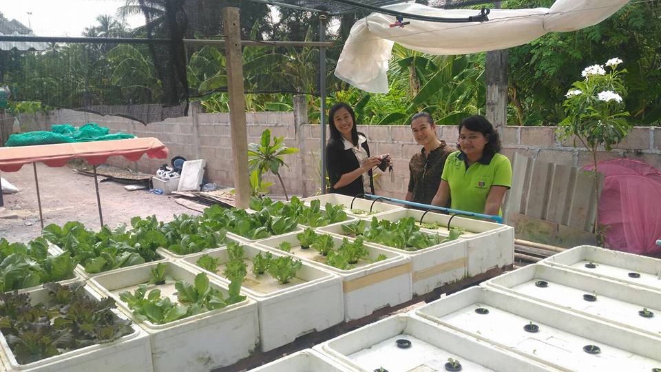 วันที่ 25 พฤศจิกายน 2559 เวลา 10.00 น.จังหวัดราชบุรีจัดพิธีทอดผ้าป่าสบทบกองทุนแม่ของแผ่นดิน ปี 2559 โดยนายสุรพล แสวงศักดิ์ ผู้ว่าราชการจังหวัดราชบุรี เป็นประธานในพิธี ณ วัดโชติทายการาม อำเภอดำเนินสะดวก
สำหรับการจัดทอดผ้าป่าสมทบกองทุนแม่ของแผ่นดินในครั้งน