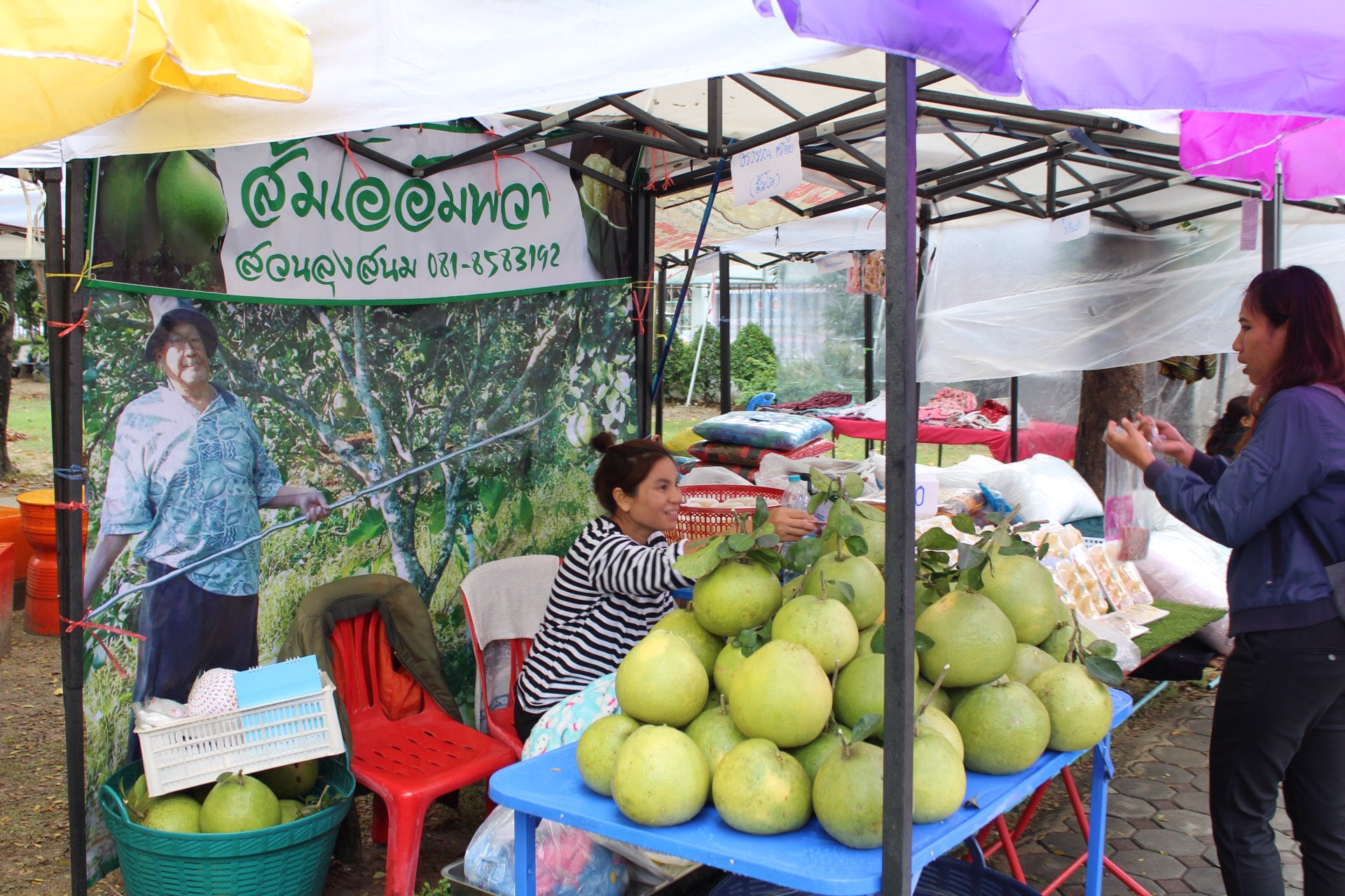 ราชบุรี “จัดตลาดประชารัฐ คนไทยยิ้มได้ ระหว่างวันที่ 28 – 29  ธันวาคม 2560 “