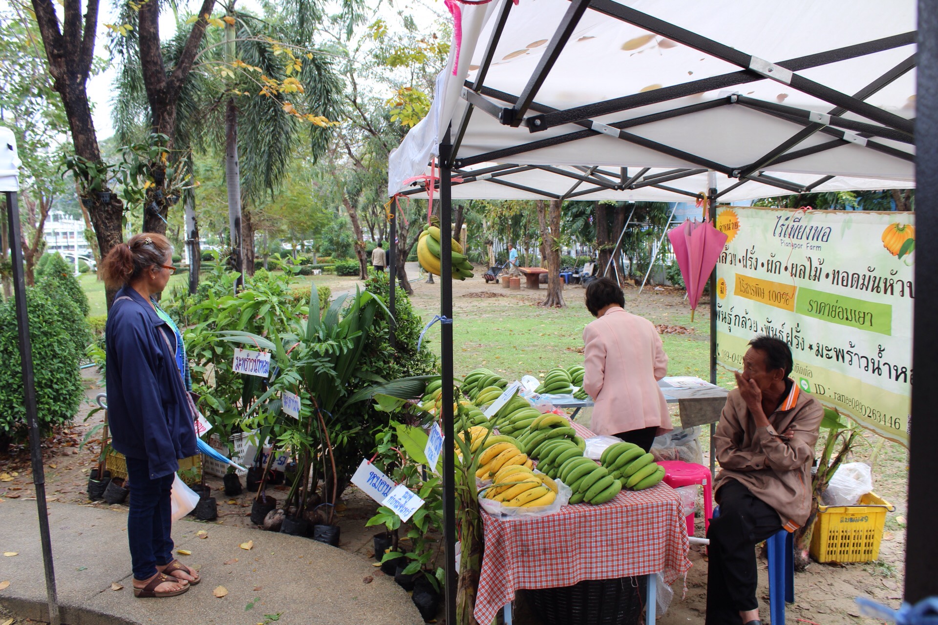 ราชบุรี “จัดตลาดประชารัฐ คนไทยยิ้มได้ ระหว่างวันที่ 28 – 29  ธันวาคม 2560 “