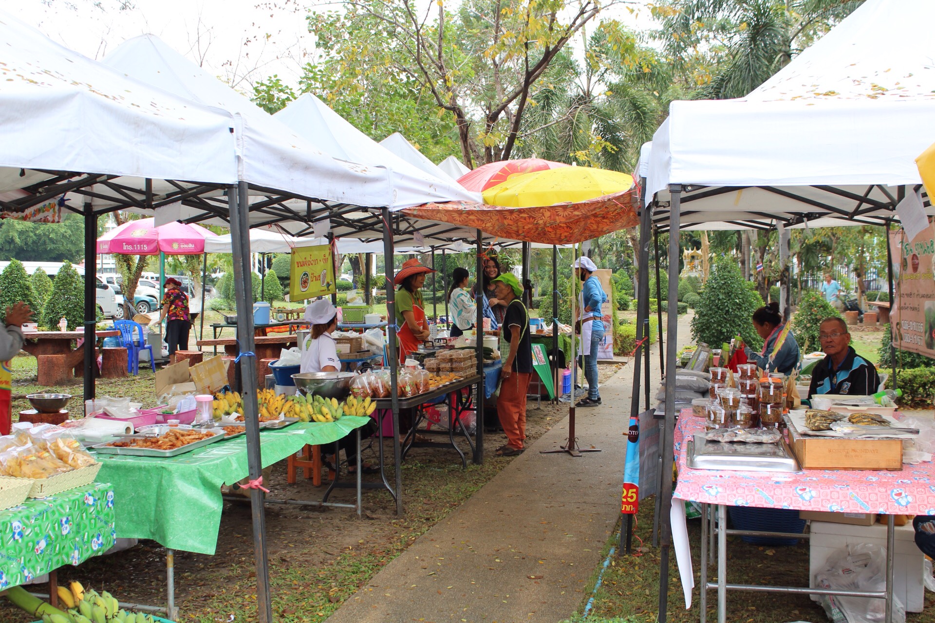 ราชบุรี “จัดตลาดประชารัฐ คนไทยยิ้มได้ ระหว่างวันที่ 28 – 29  ธันวาคม 2560 “