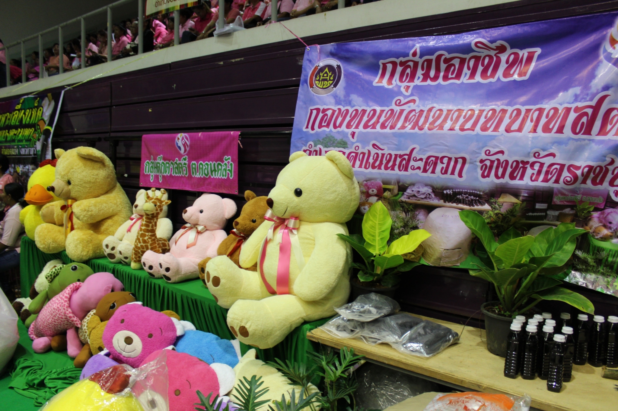 วันที่ 8 มีนาคม 2561 จังหวัดราชบุรี”เพิ่มประสิทธิภาพสตรีสู่การพัฒนาท้องถิ่นอย่างเข้มแข็ง”