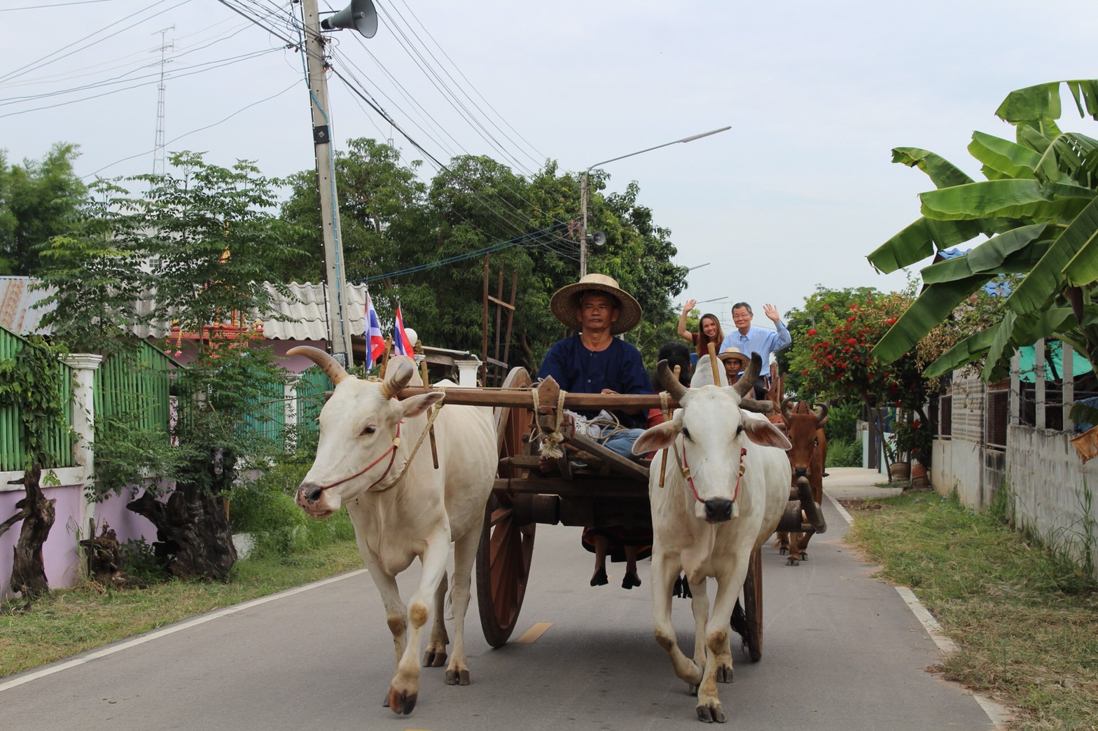 วันที่  22  พฤษภาคม 2561  จังหวัดราชบุรี ประกวดหมู่บ้านสารสนเทศเพื่อการพัฒนาเศรษฐกิจชุมชนและพัฒนาคุณภาพชีวิต บ้านแพะ หมู่ที่ 16 ตำบลหนองปลาหมอ อำเภอบ้านโป่งและสารสนเทศตำบลต้นแบบเพื่อการพัฒนาคุณภาพชีวิต ตำบลหนองปลาหมอ อำเภอบ้านโป่ง