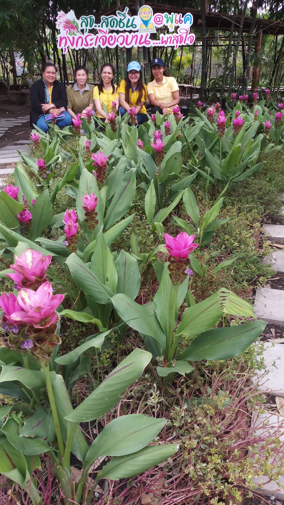 กิจกรรม การศึกษาดูงาน ตามโครงการเพิ่มศักยภาพผู้ผลิตและพัฒนาผลิตภัณฑ์ไทย ก้าวไกลสู่ Smart OTOP