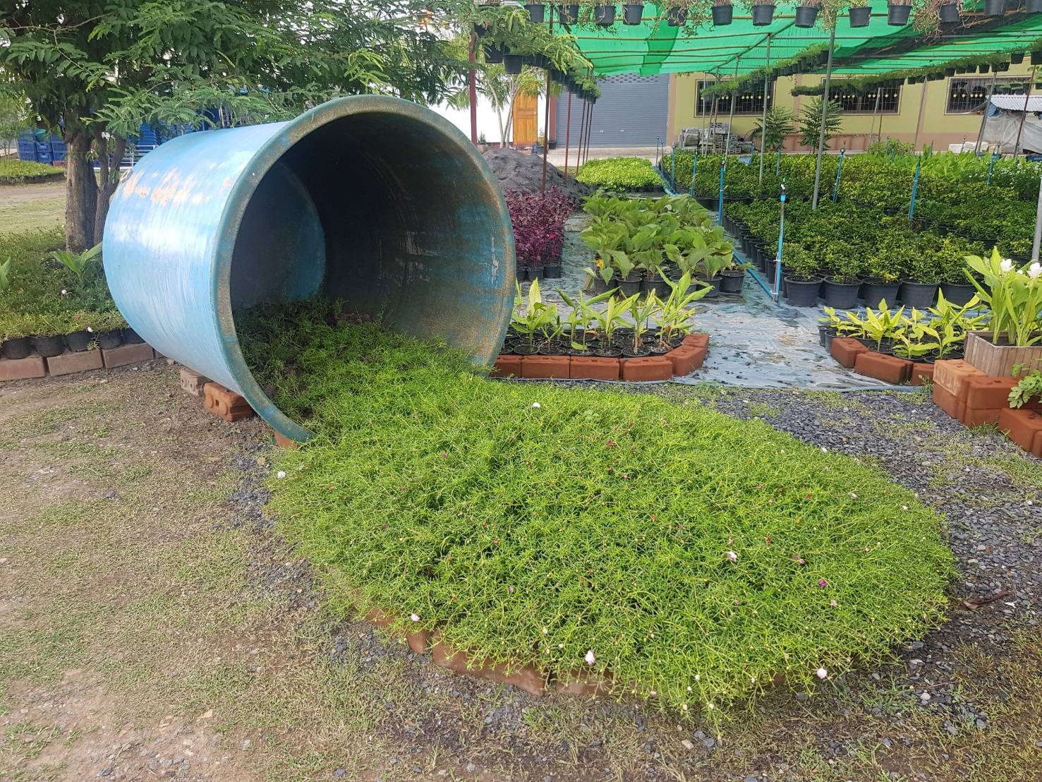 กิจกรรม การศึกษาดูงาน ตามโครงการเพิ่มศักยภาพผู้ผลิตและพัฒนาผลิตภัณฑ์ไทย ก้าวไกลสู่ Smart OTOP