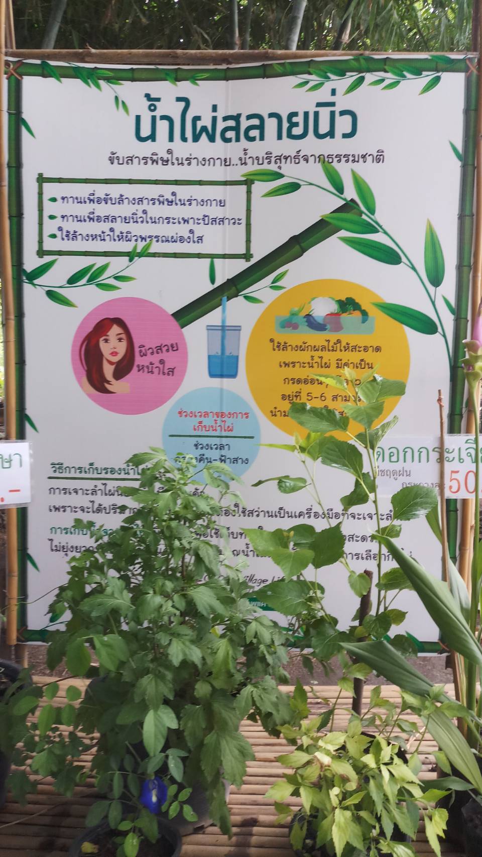 กิจกรรม การศึกษาดูงาน ตามโครงการเพิ่มศักยภาพผู้ผลิตและพัฒนาผลิตภัณฑ์ไทย ก้าวไกลสู่ Smart OTOP