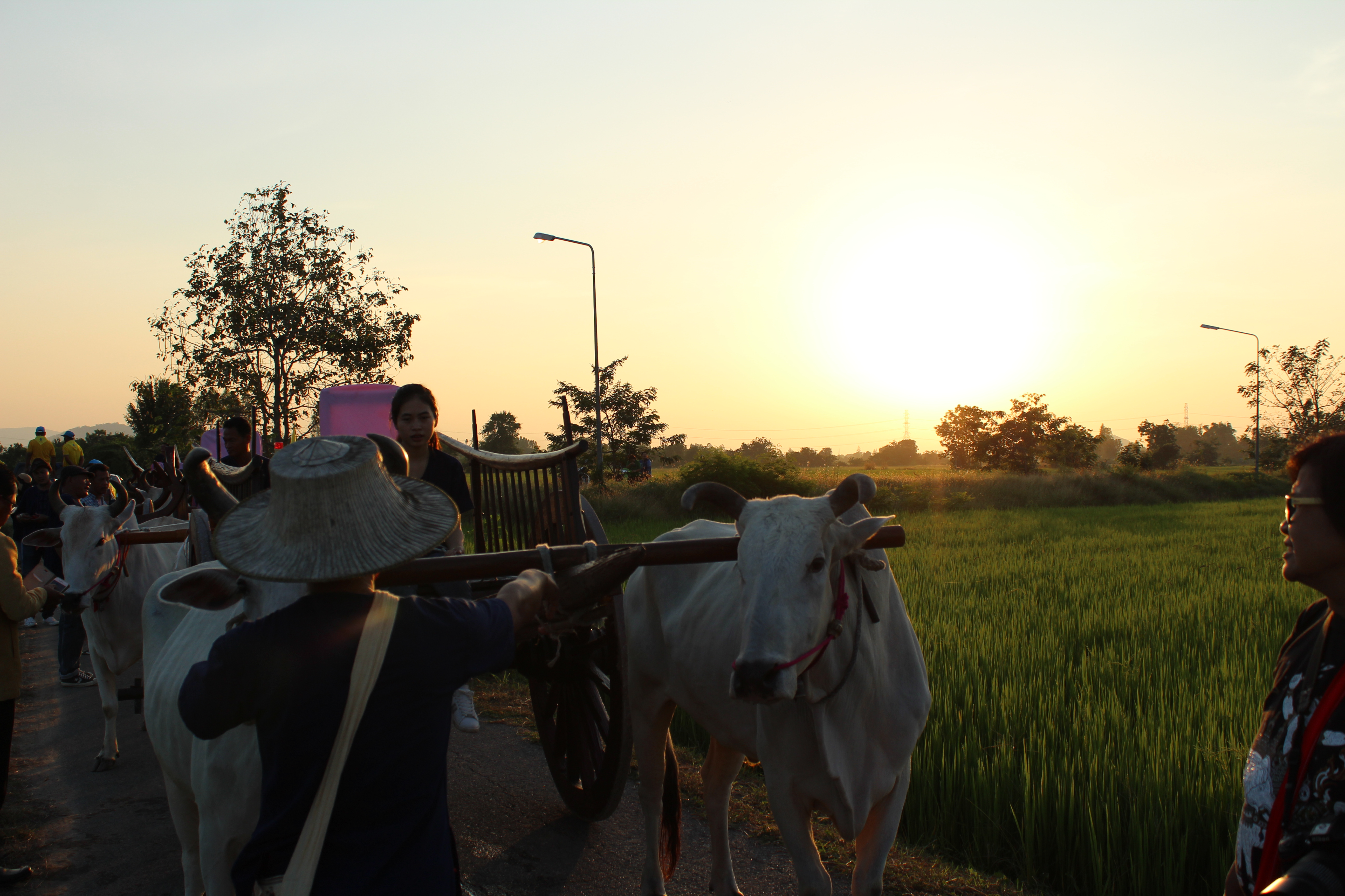 เปิดตัวชุมชนท่องเที่ยว OTOP นวัตวิถี เสน่ห์ไท-ยวน