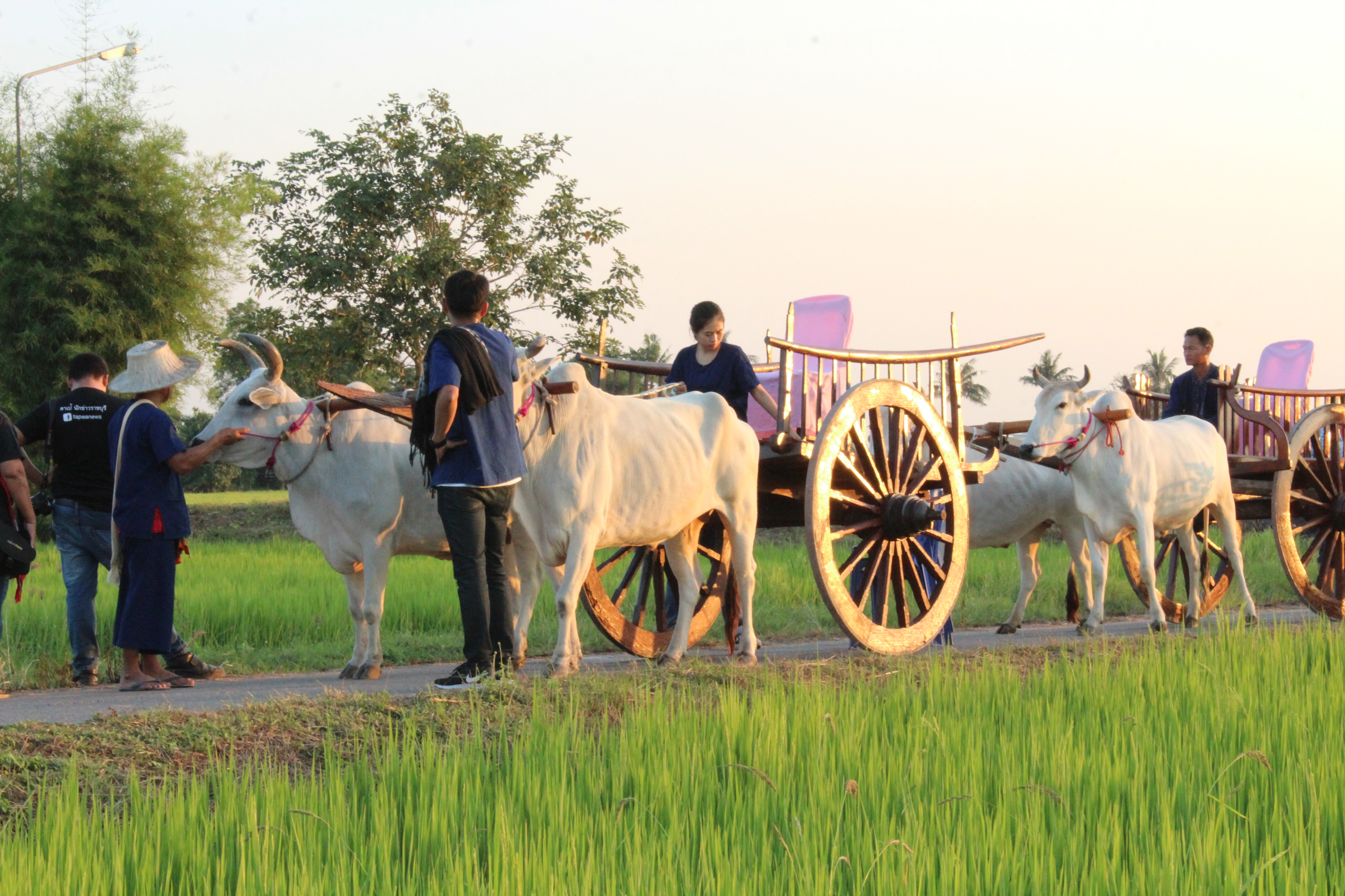 เปิดตัวชุมชนท่องเที่ยว OTOP นวัตวิถี เสน่ห์ไท-ยวน