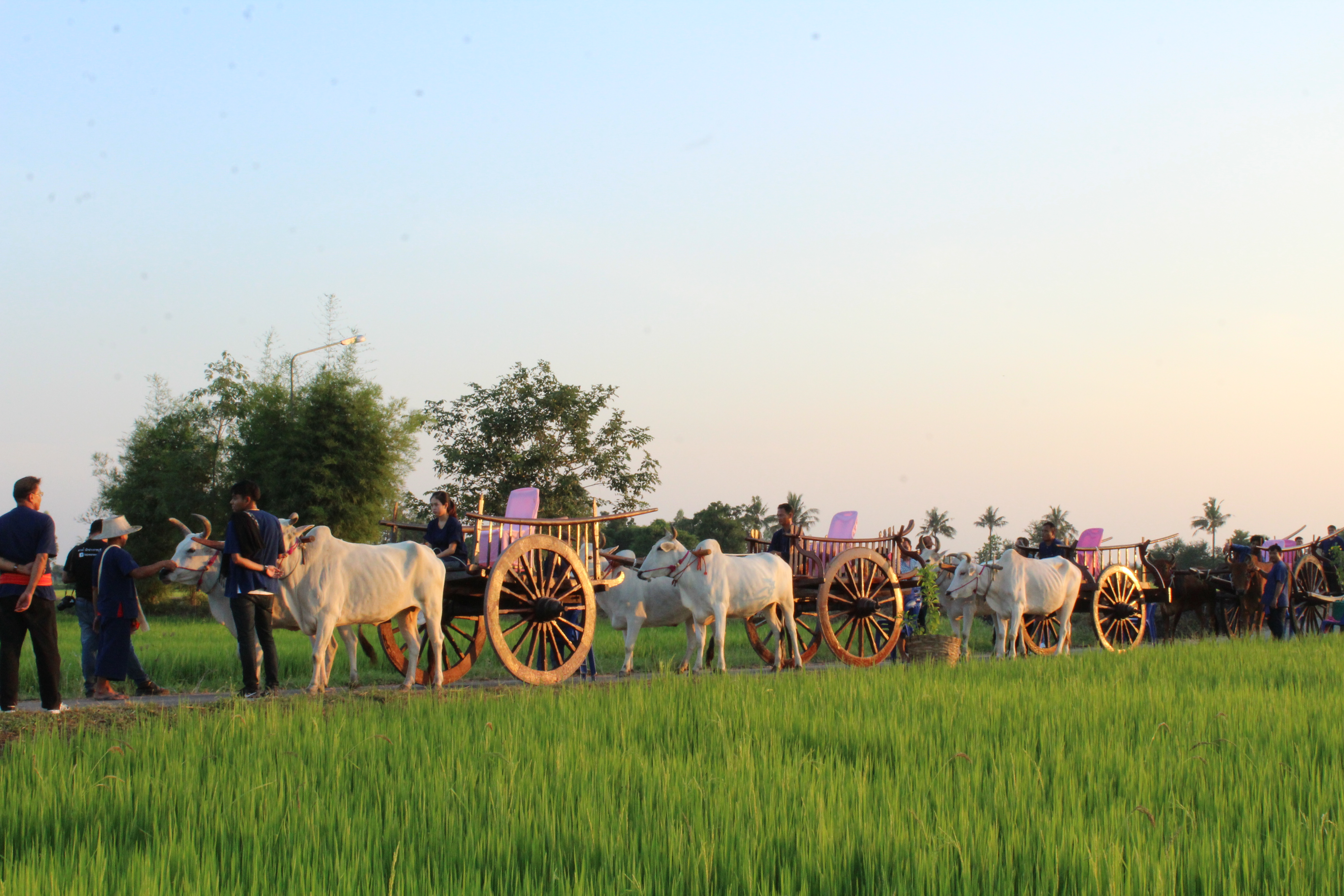 เปิดตัวชุมชนท่องเที่ยว OTOP นวัตวิถี เสน่ห์ไท-ยวน