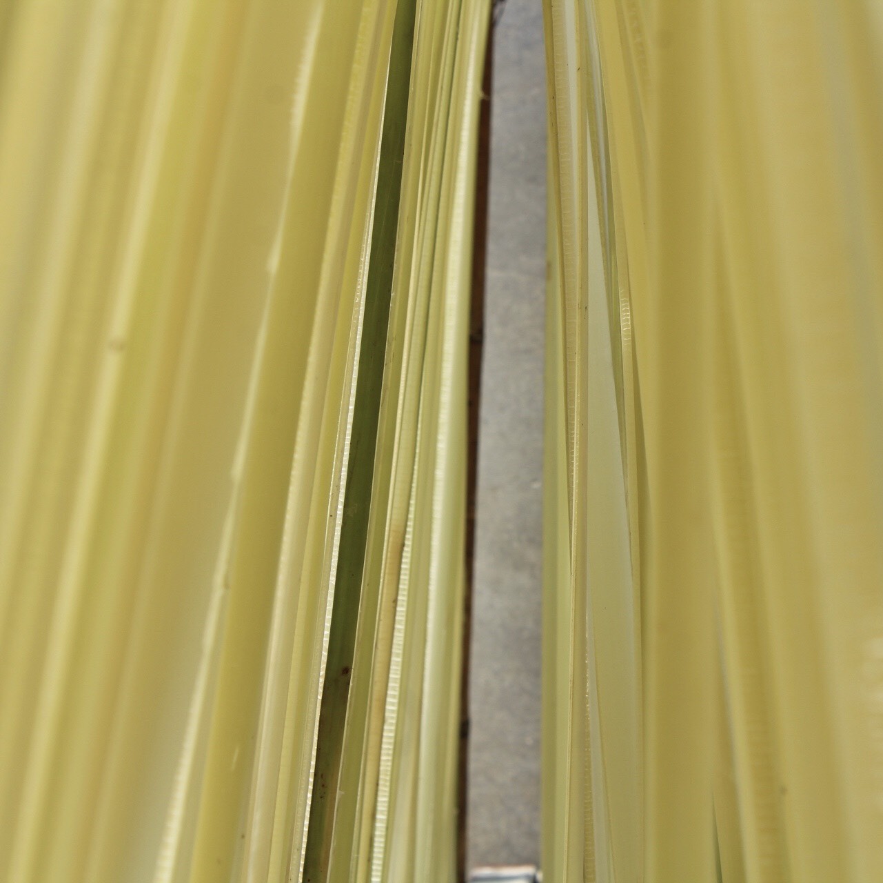 ผู้ตรวจราชการกรมการพัฒนาชุมชน ติดตามการขับเคลื่อนโครงการตามแนวทาง D-HOPE