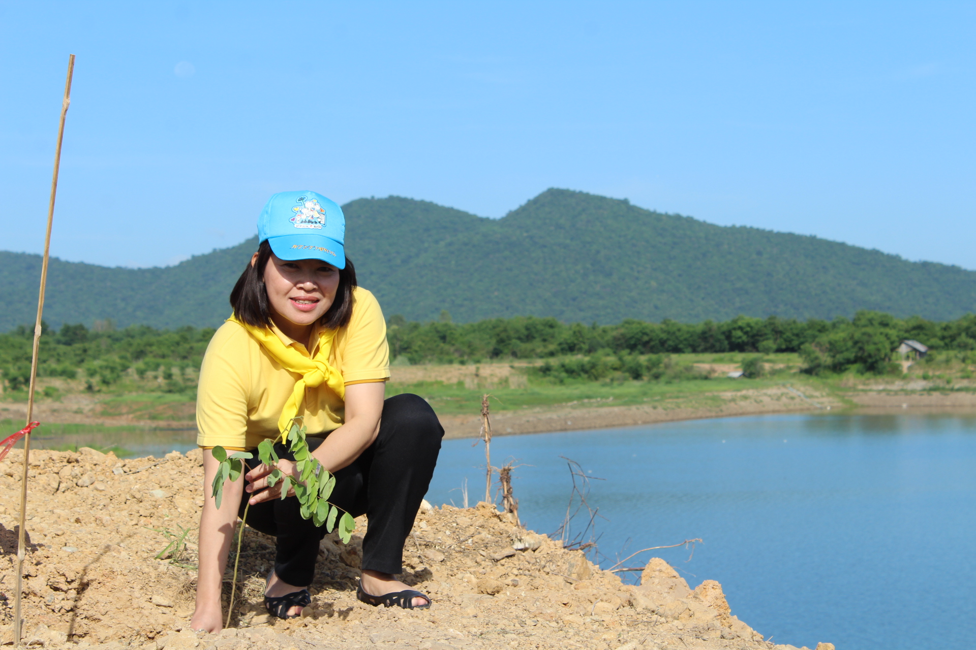 ราชบุรีร่วมกิจกรรมจิตอาสาปลูกต้นไม้เพื่อเป็นการเฉลิมพระเกียรติและร่วมแสดงความจงรักภักดี