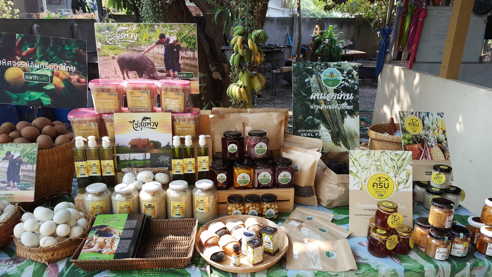 # กรมการพัฒนาชุมชน ศึกษาดูงานด้านเกษตรอินทรีย์วิถีไทย