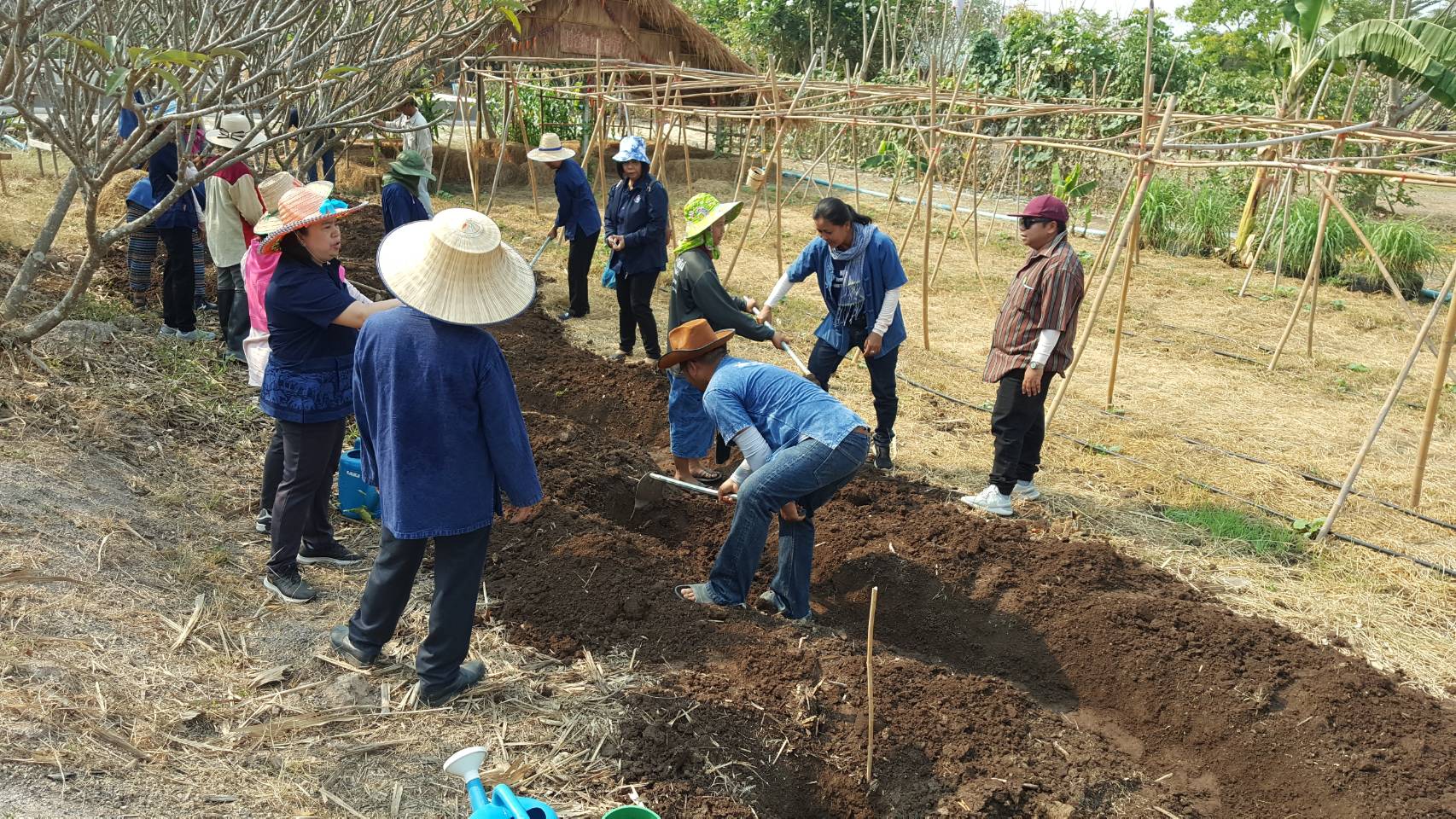 ??@จังหวัดราชบุรี>>>พช.ราชบุรี รวมพลังเอามื้อสามัคคี สร้างวิถีโคก หนอง นา โมเดล ภายใต้แนวคิด “หิ้วปิ่นโตไปเอามื้อ ถือจอบเสียมไปพลิกฟื้นแผ่นดิน”