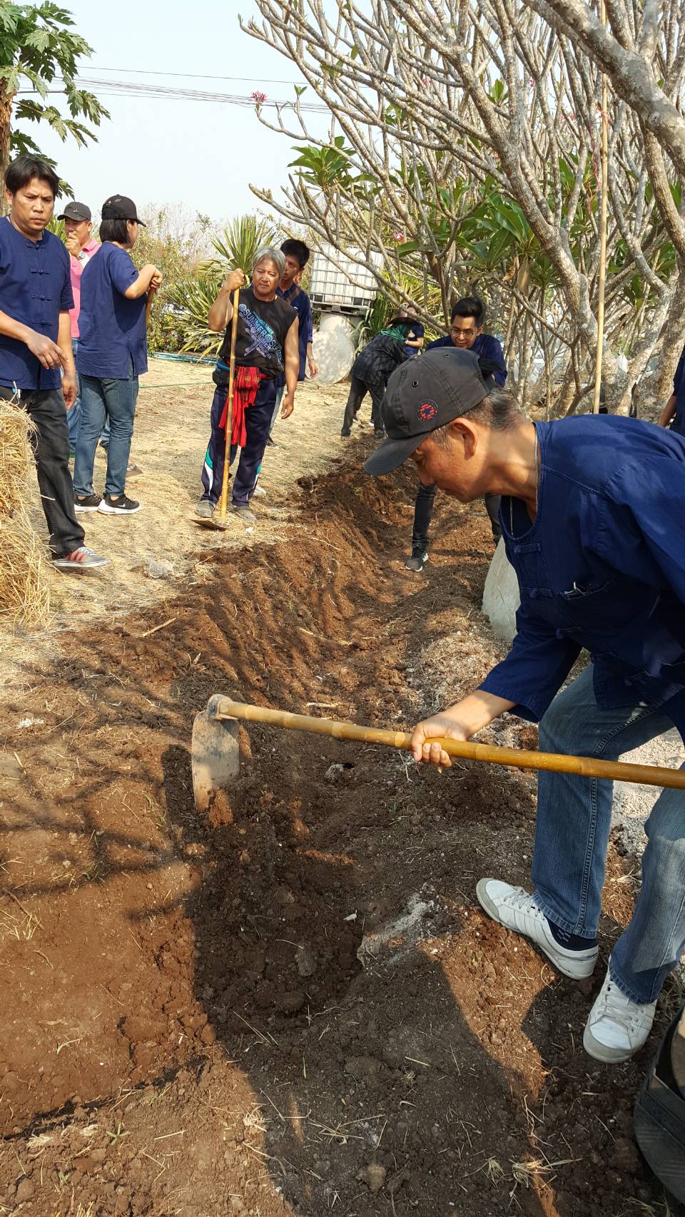 ??@จังหวัดราชบุรี>>>พช.ราชบุรี รวมพลังเอามื้อสามัคคี สร้างวิถีโคก หนอง นา โมเดล ภายใต้แนวคิด “หิ้วปิ่นโตไปเอามื้อ ถือจอบเสียมไปพลิกฟื้นแผ่นดิน”