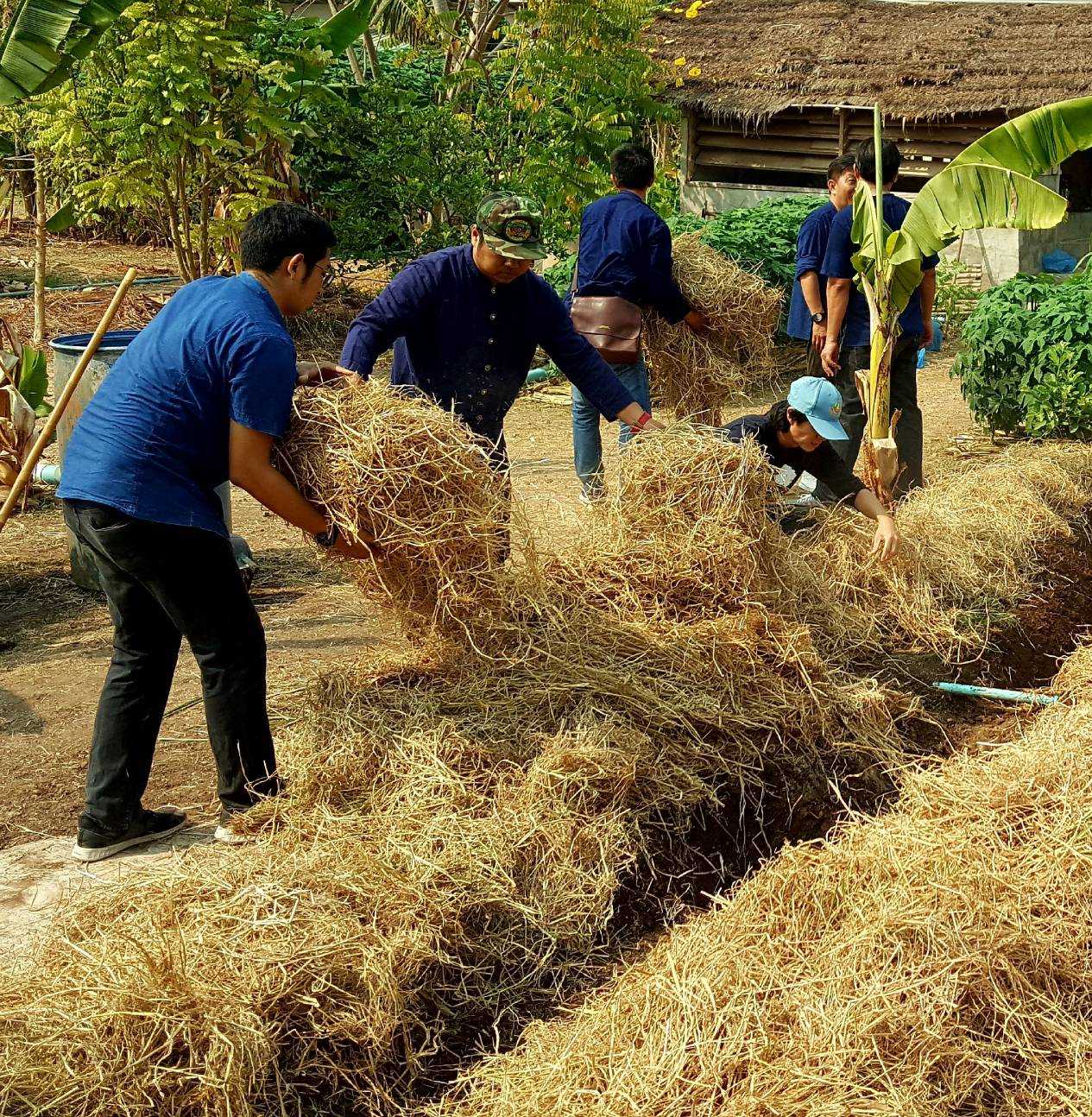 ??@จังหวัดราชบุรี>>>พช.ราชบุรี รวมพลังเอามื้อสามัคคี สร้างวิถีโคก หนอง นา โมเดล ภายใต้แนวคิด “หิ้วปิ่นโตไปเอามื้อ ถือจอบเสียมไปพลิกฟื้นแผ่นดิน”