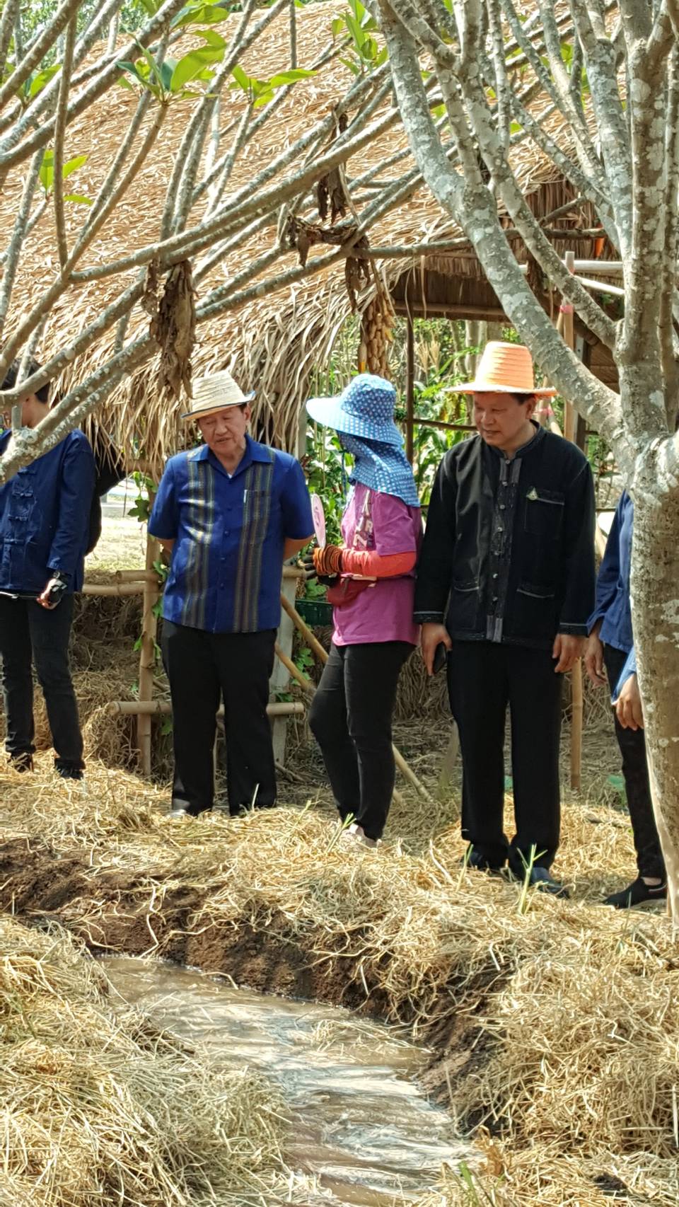 ??@จังหวัดราชบุรี>>>พช.ราชบุรี รวมพลังเอามื้อสามัคคี สร้างวิถีโคก หนอง นา โมเดล ภายใต้แนวคิด “หิ้วปิ่นโตไปเอามื้อ ถือจอบเสียมไปพลิกฟื้นแผ่นดิน”