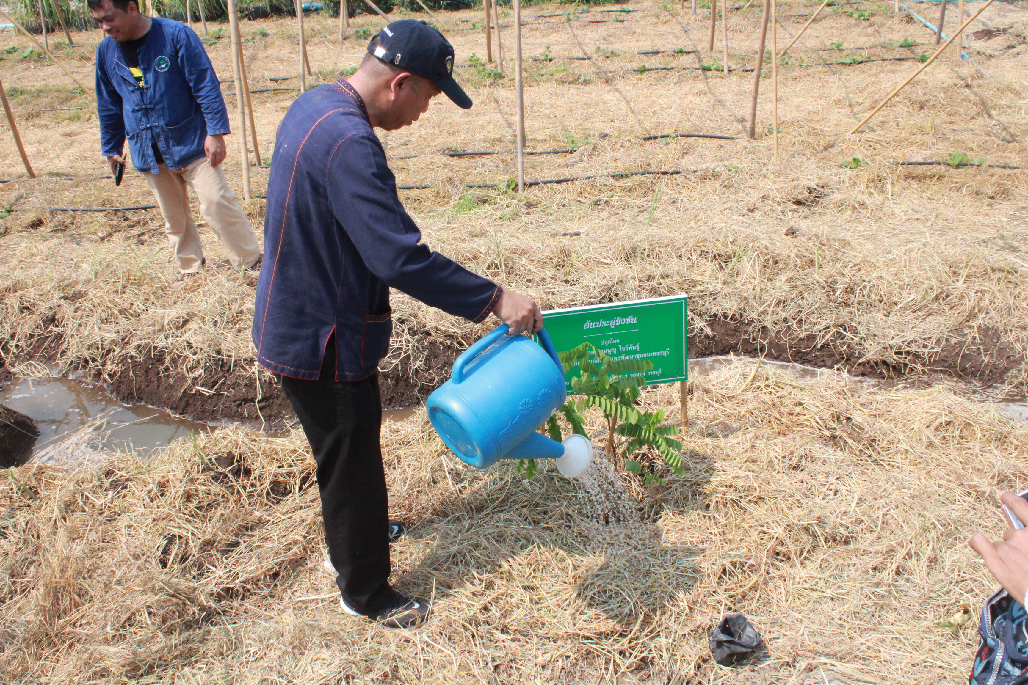 ??@จังหวัดราชบุรี>>>พช.ราชบุรี รวมพลังเอามื้อสามัคคี สร้างวิถีโคก หนอง นา โมเดล ภายใต้แนวคิด “หิ้วปิ่นโตไปเอามื้อ ถือจอบเสียมไปพลิกฟื้นแผ่นดิน”