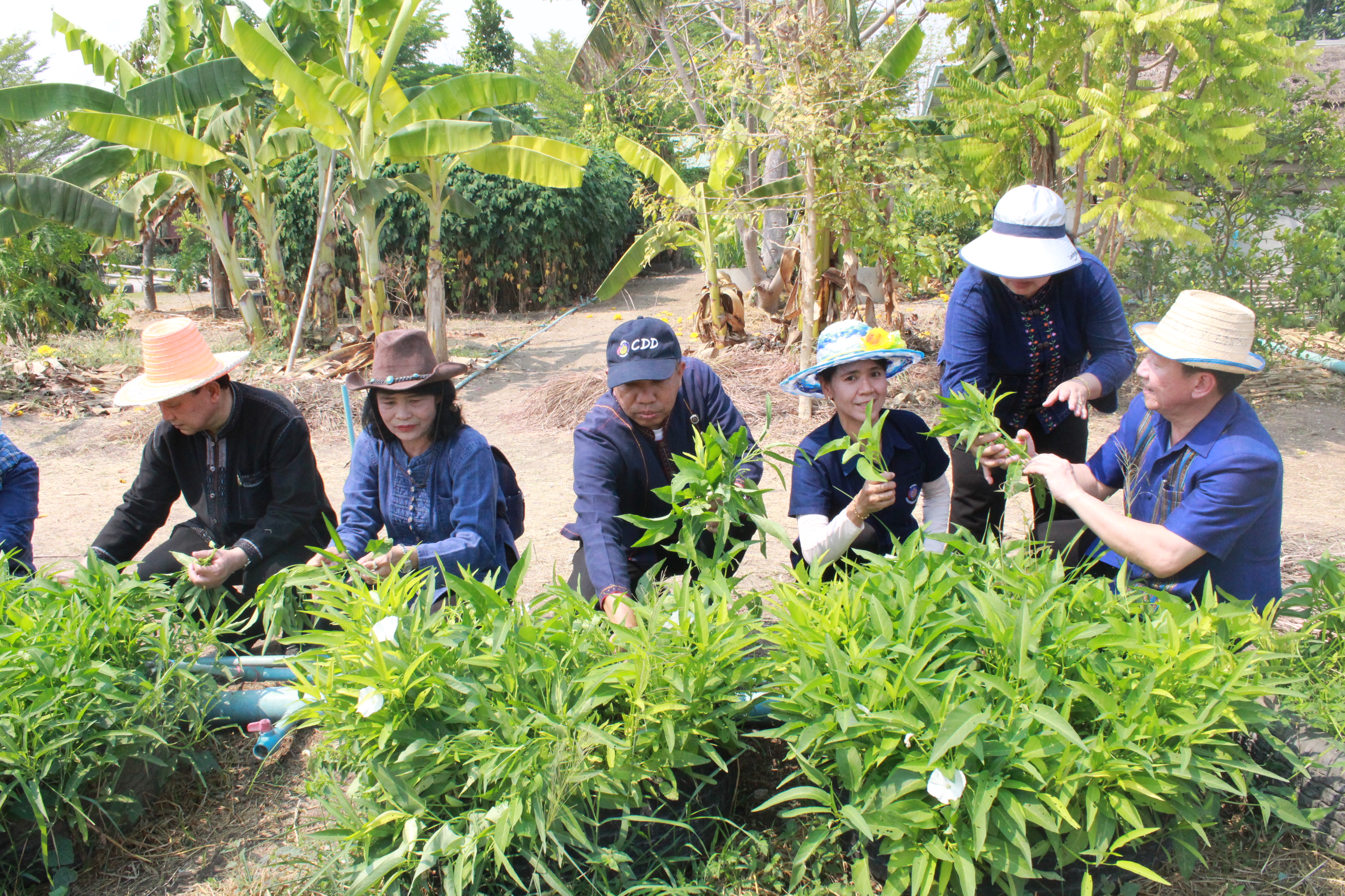 ??@จังหวัดราชบุรี>>>พช.ราชบุรี รวมพลังเอามื้อสามัคคี สร้างวิถีโคก หนอง นา โมเดล ภายใต้แนวคิด “หิ้วปิ่นโตไปเอามื้อ ถือจอบเสียมไปพลิกฟื้นแผ่นดิน”