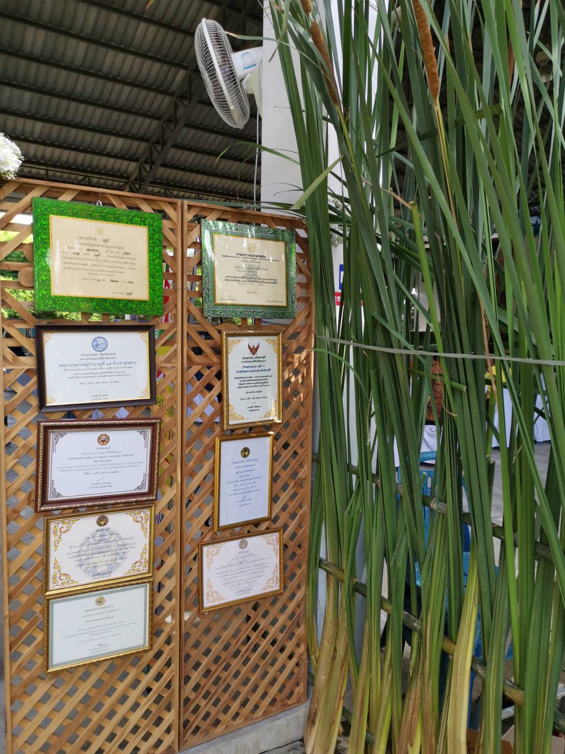 ราชบุรี ประกวดหมู่บ้านเศรษฐกิจพอเพียง “อยู่เย็น เป็นสุข” ดีเด่น ปี 2563