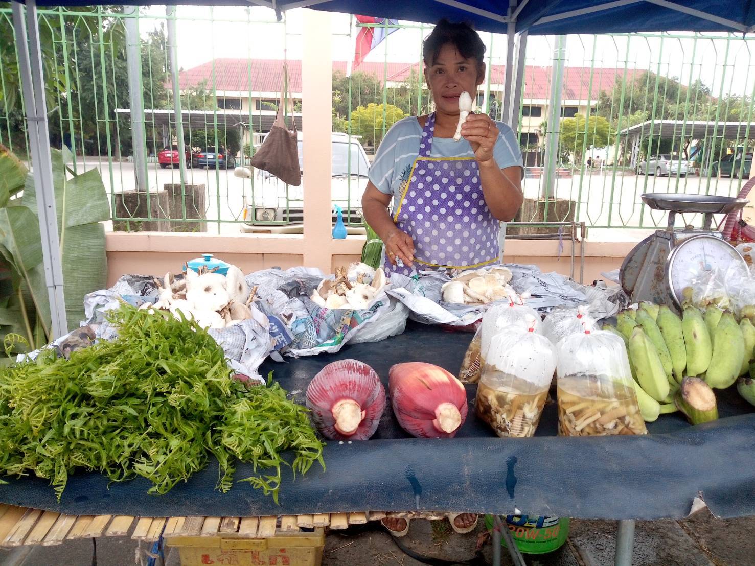 สพจ.ราชบุรี ร่วมกับเครือข่าย OTOP จังหวัดราชบุรี ดำเนินการจัดตลาดตามโครงการ OTOP เคลื่อนที่ (OTOP Mobile)