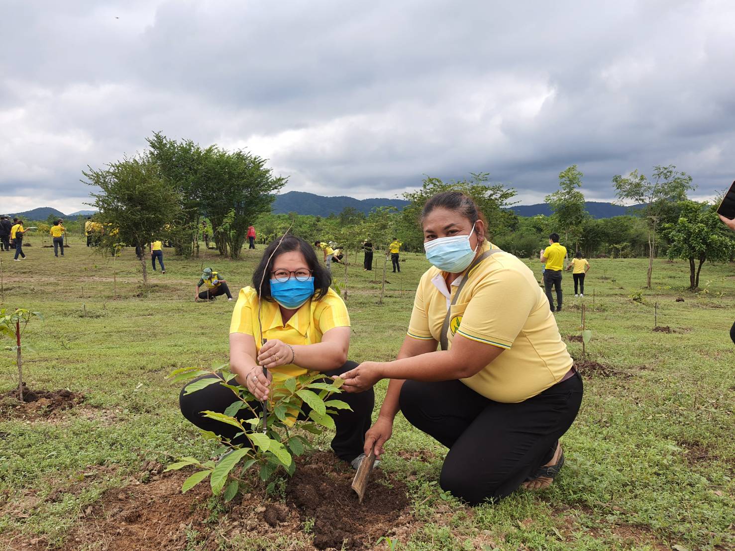 สพจ.ราชบุรี ร่วมโครงการวันรักต้นไม้ประจำปีของชาติ พ.ศ. 2563