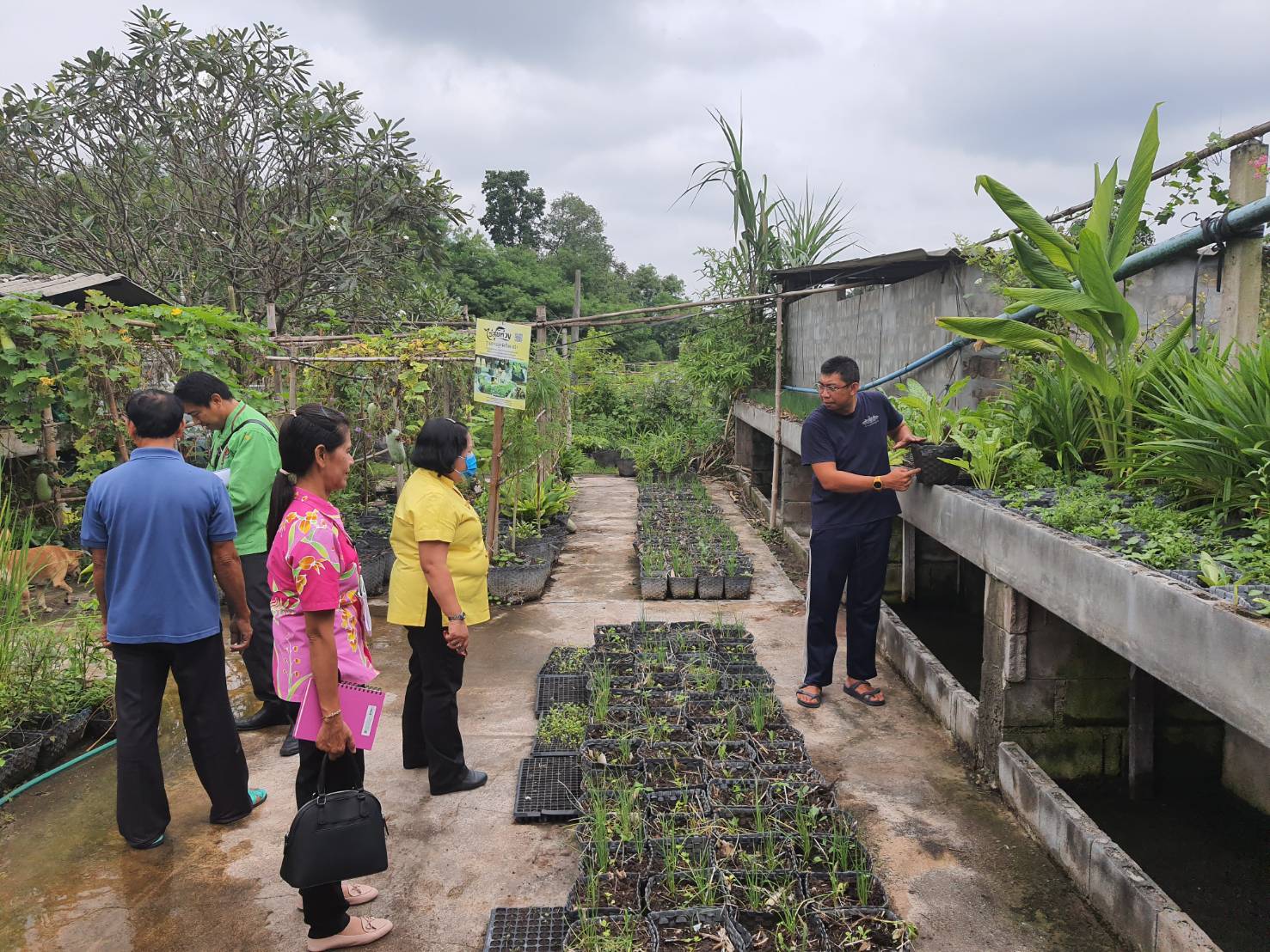 สพจ.ราชบุรี ติดตามสนับสนุนโครงการพัฒนาพื้นที่ต้นแบบการพัฒนาคุณภาพชีวิต ตามหลักทฤษฎีใหม่ ประยุกต์สู่ “โคก หนอง นา โมเดล”