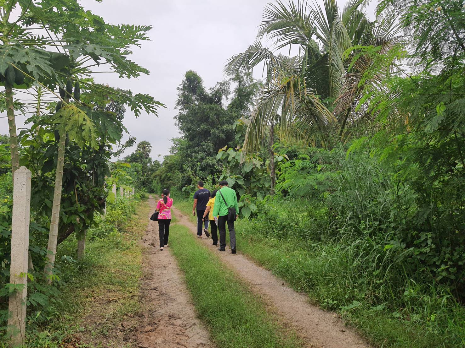 สพจ.ราชบุรี ติดตามสนับสนุนโครงการพัฒนาพื้นที่ต้นแบบการพัฒนาคุณภาพชีวิต ตามหลักทฤษฎีใหม่ ประยุกต์สู่ “โคก หนอง นา โมเดล”