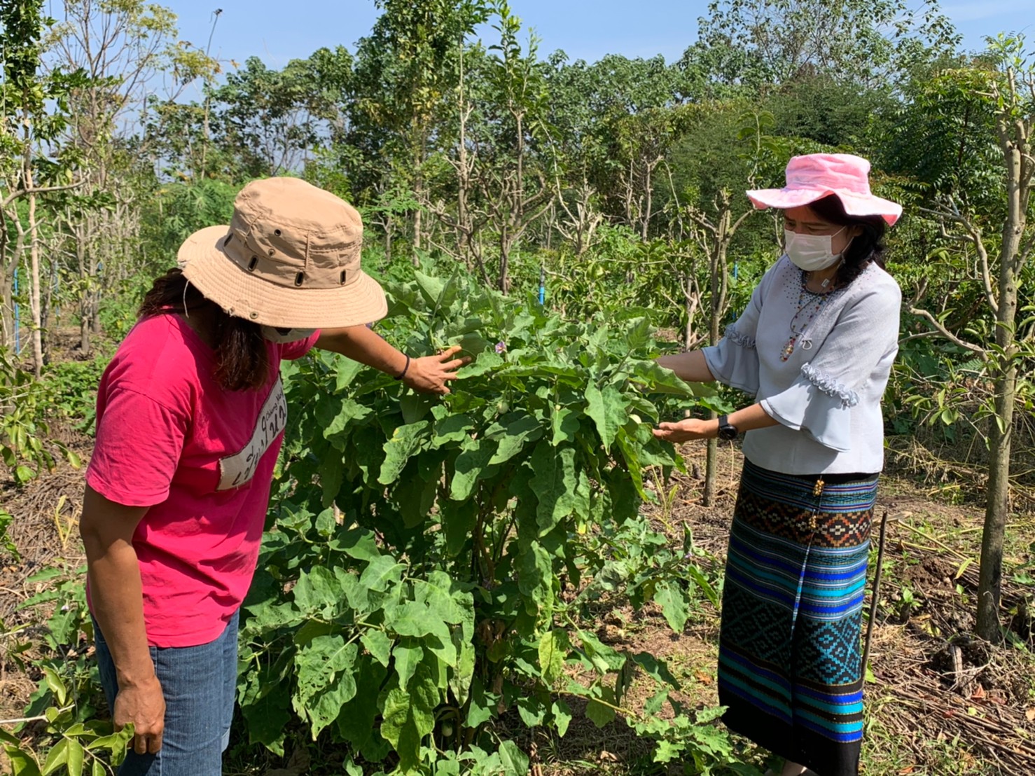 ? พช.ราชบุรี ลงพื้นที่นิเทศติตตามการดำเนินงานพัฒนาชุมชนอำเภอจอมบึง