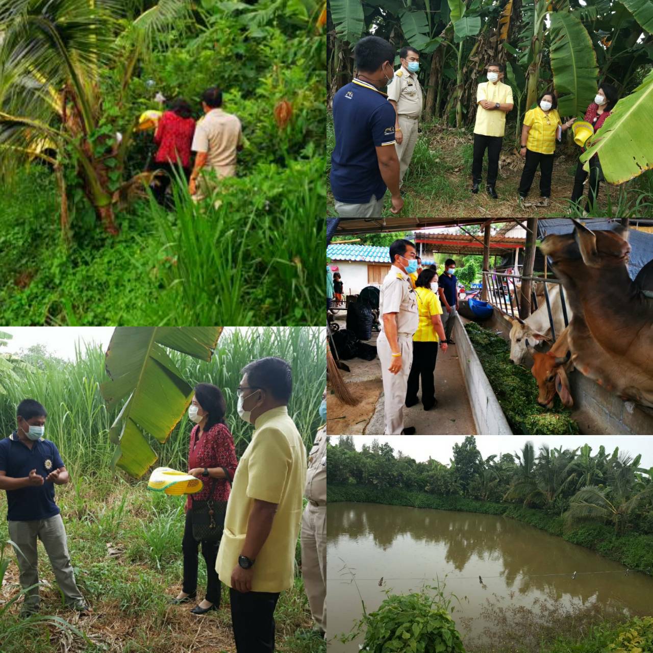หัวหน้าผู้ตรวจราชการกรมการพัฒนาชุมชนลงพื้นที่ติดตามการดำเนินงานโครงการพัฒนาพื้นที่ต้นแบบการพัฒนาคุณภาพชีวิตตามหลักทฤษฎีใหม่ประยุกต์สู่ “โคก หนอง นา”