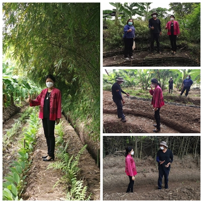 ? พช.ราชบุรี ลงพื้นที่ตรวจเยี่ยมโครงการพัฒนาพื้นที่ต้นแบบการพัฒนาคุณภาพชีวิตตามหลักทฤษฎีใหม่ประยุกต์สู่ “โคก หนอง นา โมเดล” พื้นที่เรียนรู้ชุมชนต้นแบบการพัฒนาคุณภาพชีวิต (Community Lab Model for quality of life : CLM) ระดับตำบล ศูนย์ฯแบบก้าวหน้า ณ ไร่สุขพ่วง ตำบลจอมบึง อำเภอจอมบึง จังหวัดราชบุรี