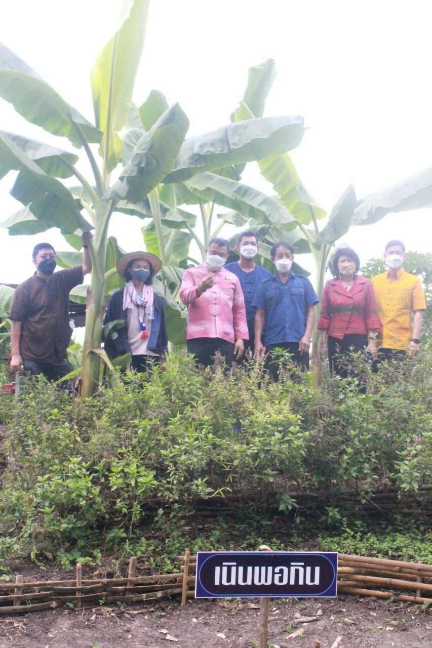 ?‘อธิบดีพช.’ เยี่ยมชมต้นแบบความสำเร็จ โคก หนอง นา พช. ไร่สุขพ่วง ขยายความสุขสู่ชุมชน