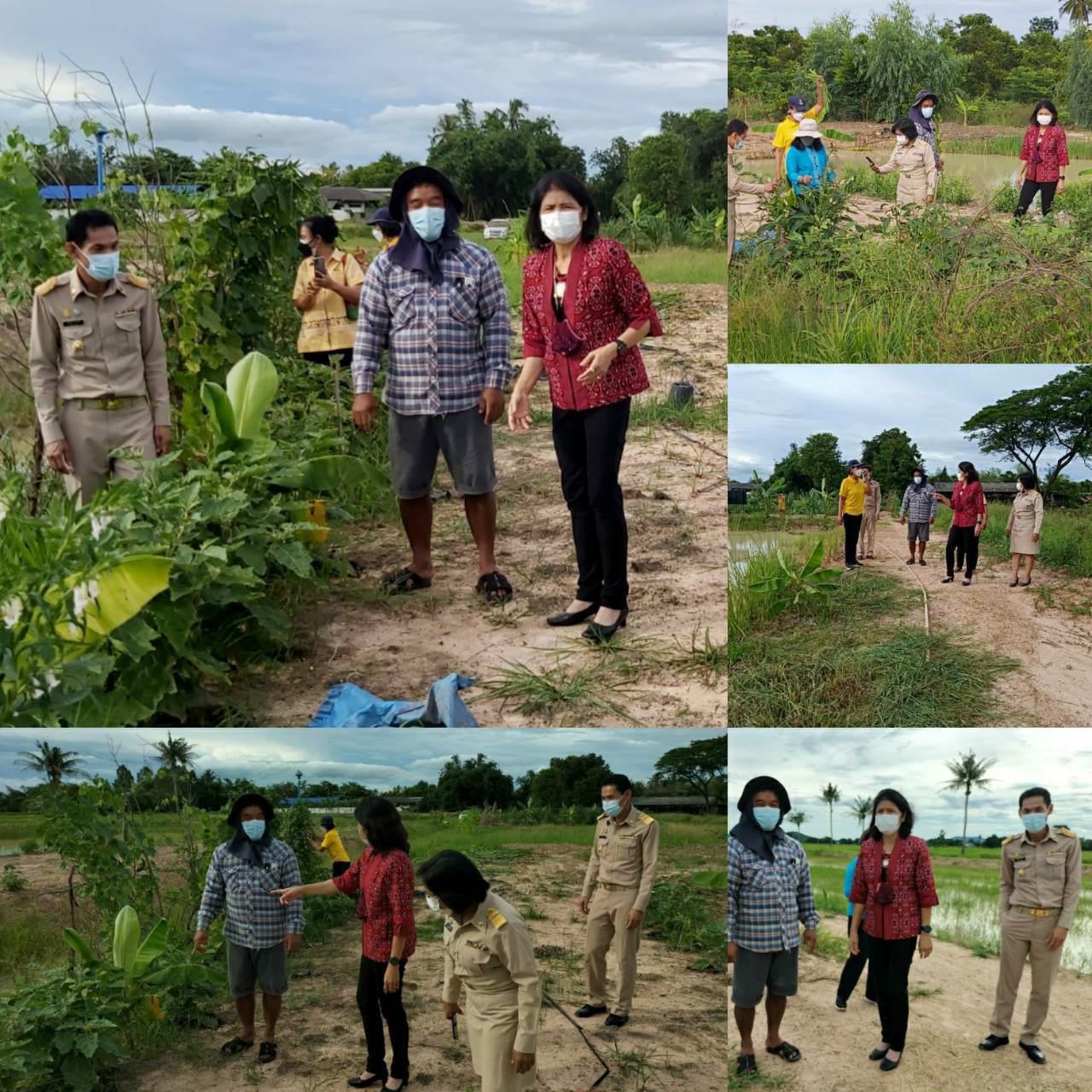 ? พช.ราชบุรี ลงพื้นที่ตรวจติดตามงานและเตรียมความพร้อมการขับเคลื่อนงานประจำปี 2565 แก่สำนักงานพัฒนาชุมชนอำเภอ