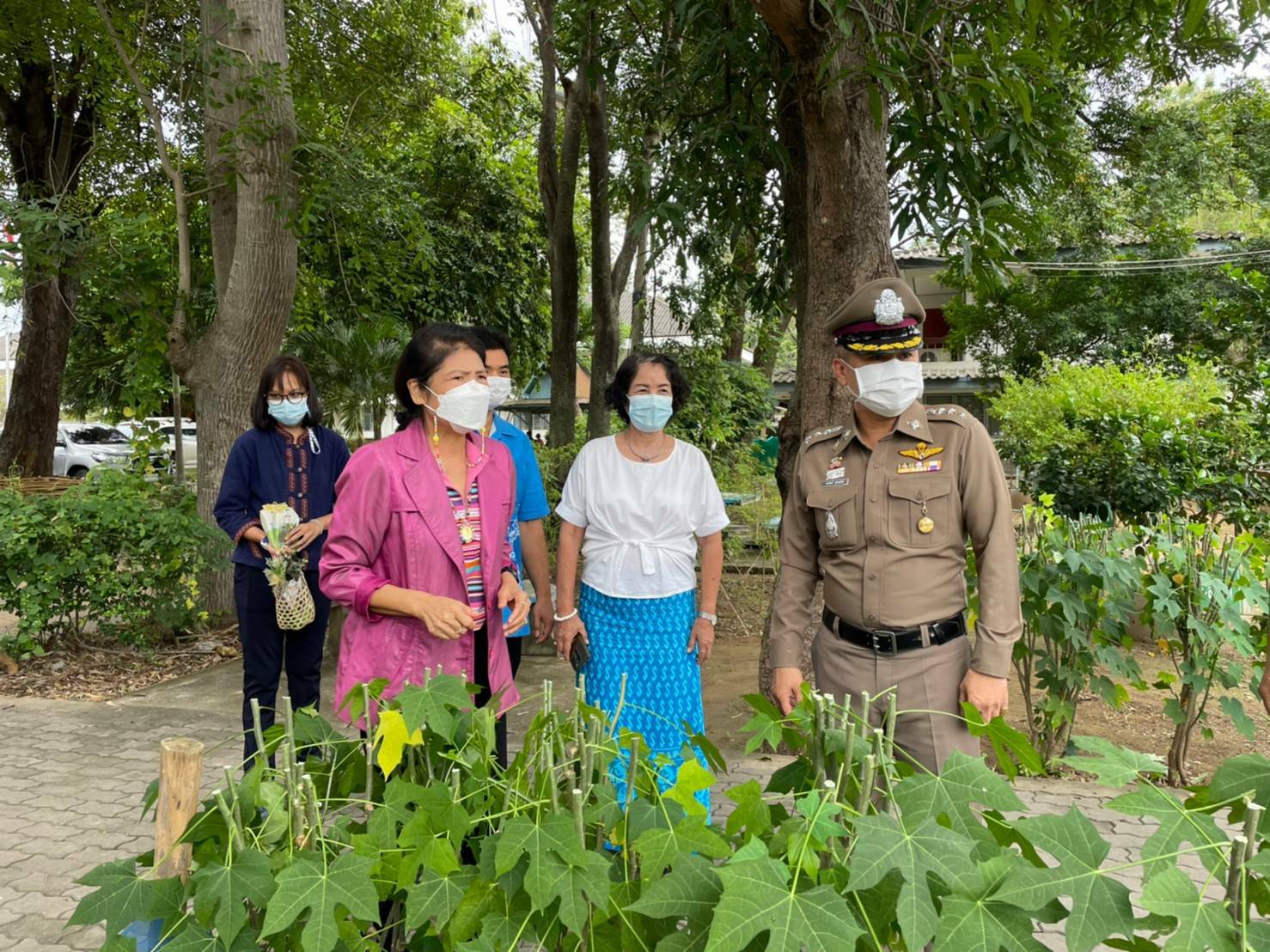 ? พช.ราชบุรี เยี่ยมชมแปลงผัก บุคคลต้นแบบและเชิดชูเกียรติการขับเคลื่อนแผนปฏิบัติการ๙๐วัน” ปลูกผักสวนครัว โรงพักตำรวจ