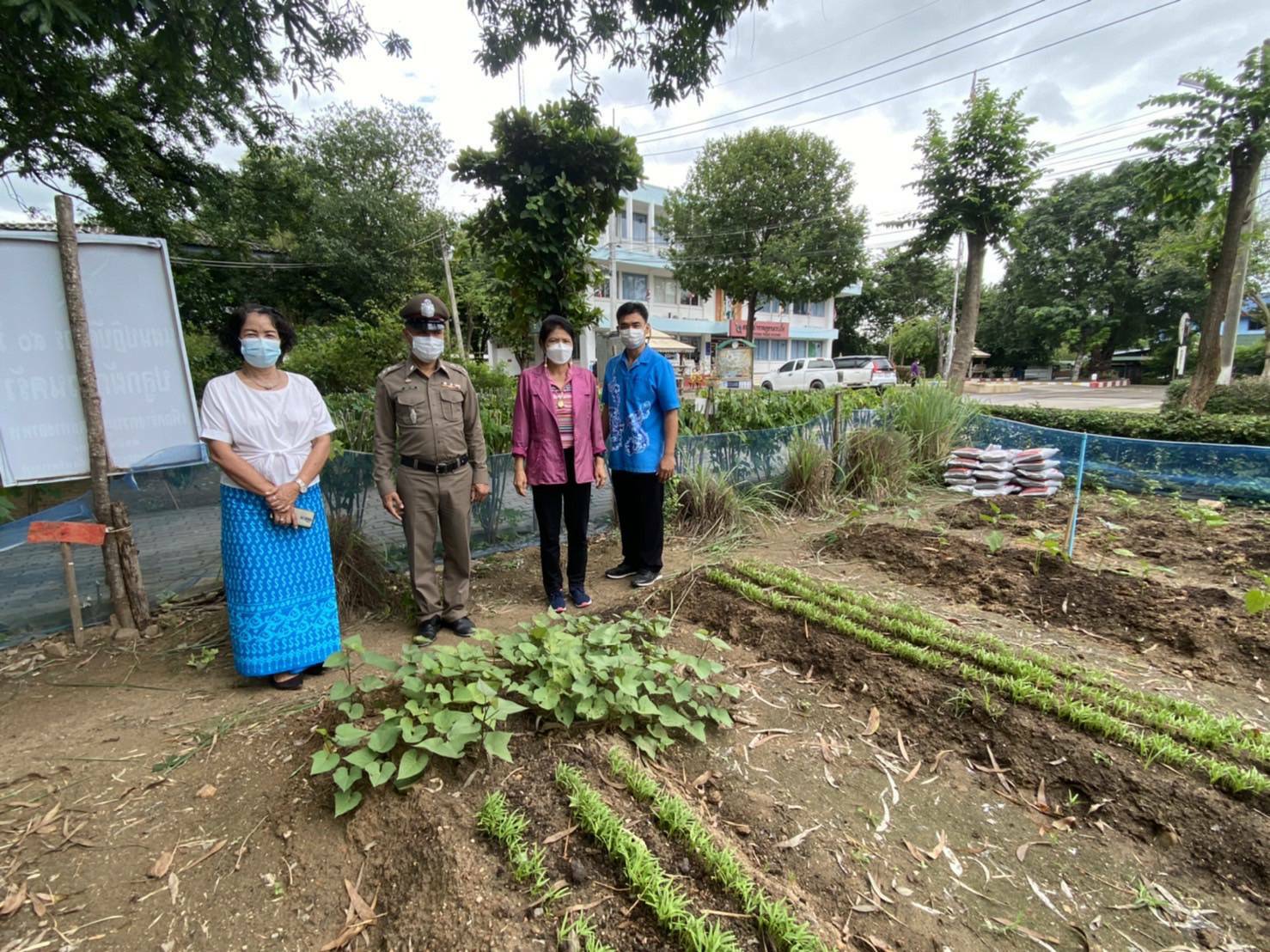 ? พช.ราชบุรี เยี่ยมชมแปลงผัก บุคคลต้นแบบและเชิดชูเกียรติการขับเคลื่อนแผนปฏิบัติการ๙๐วัน” ปลูกผักสวนครัว โรงพักตำรวจ
