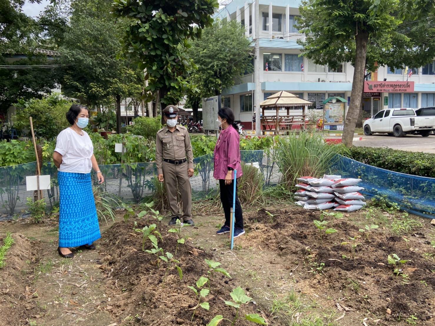 ? พช.ราชบุรี เยี่ยมชมแปลงผัก บุคคลต้นแบบและเชิดชูเกียรติการขับเคลื่อนแผนปฏิบัติการ๙๐วัน” ปลูกผักสวนครัว โรงพักตำรวจ