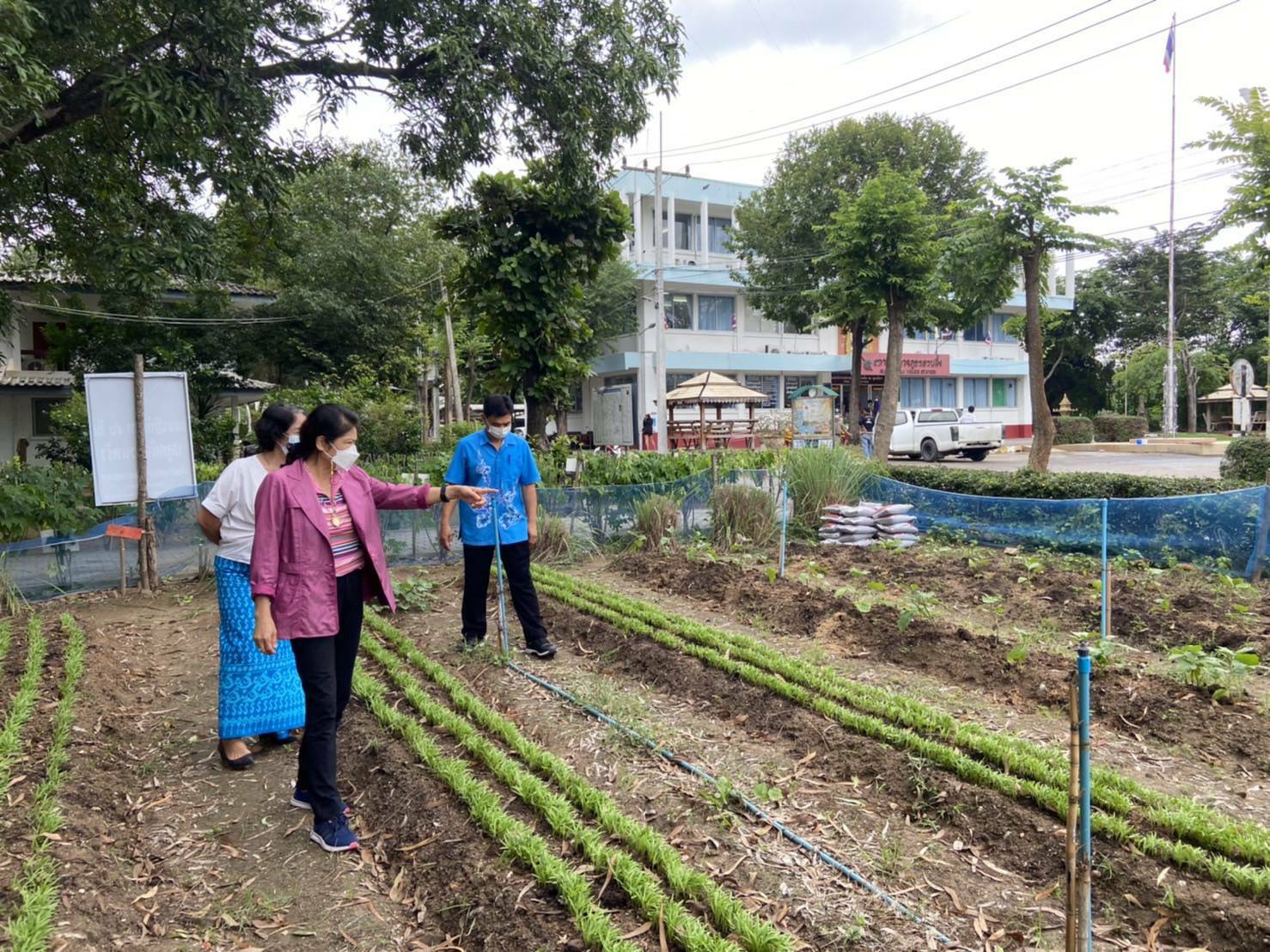? พช.ราชบุรี เยี่ยมชมแปลงผัก บุคคลต้นแบบและเชิดชูเกียรติการขับเคลื่อนแผนปฏิบัติการ๙๐วัน” ปลูกผักสวนครัว โรงพักตำรวจ