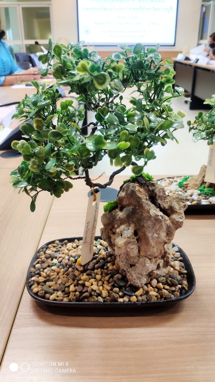 ? พช.ราชบุรี จัดประชุมคณะทำงานขับเคลื่อนกองทุนพัฒนาบทบาทสตรีจังหวัดราชบุรี ครั้งที่ 3/2565