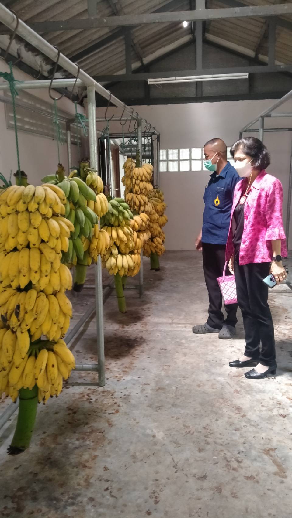 ? พช.ราชบุรี เดินหน้าขยายผลการดำเนินงานตามแนวพระราชดำริฯ ร่วมกับอุทยานธรรมชาติวิทยาอันเนื่องมาจากพระราชดำริ สมเด็จพระกนิษฐาธิราชเจ้า กรมสมเด็จพระเทพรัตนราชสุดาฯ สยามบรมราชกุมารี ในการเตรียมความพร้อมเพื่อขับเคลื่อนโครงการ 9;10 ปฏิบัติบูชา “สืบสาน รักษา ต่อยอด” แนวพระราชดำริ ประจำปี 2565