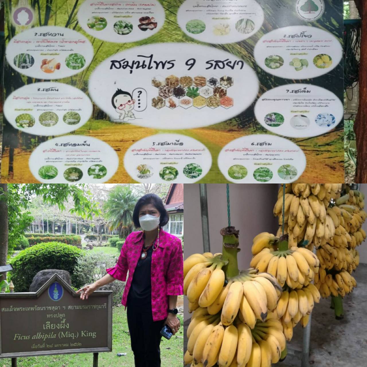 ? พช.ราชบุรี เดินหน้าขยายผลการดำเนินงานตามแนวพระราชดำริฯ ร่วมกับอุทยานธรรมชาติวิทยาอันเนื่องมาจากพระราชดำริ สมเด็จพระกนิษฐาธิราชเจ้า กรมสมเด็จพระเทพรัตนราชสุดาฯ สยามบรมราชกุมารี ในการเตรียมความพร้อมเพื่อขับเคลื่อนโครงการ 9;10 ปฏิบัติบูชา “สืบสาน รักษา ต่อยอด” แนวพระราชดำริ ประจำปี 2565