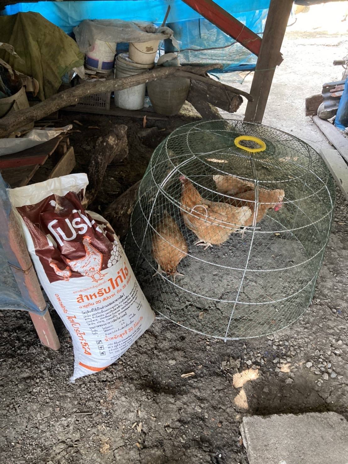 ??ข่าวประชาสัมพันธ์อำเภอบางแพ??