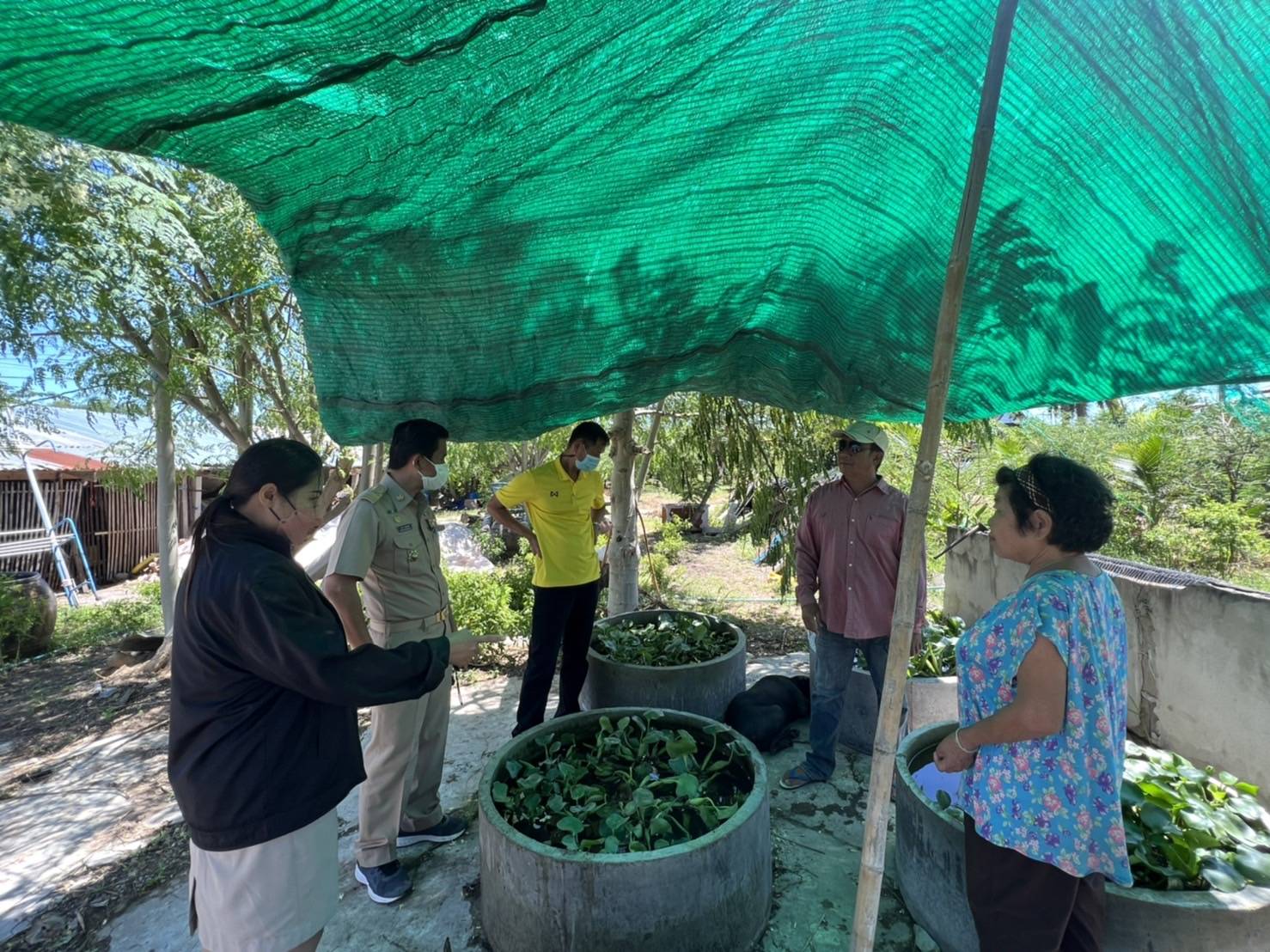 ??ข่าวประชาสัมพันธ์อำเภอบางแพ??