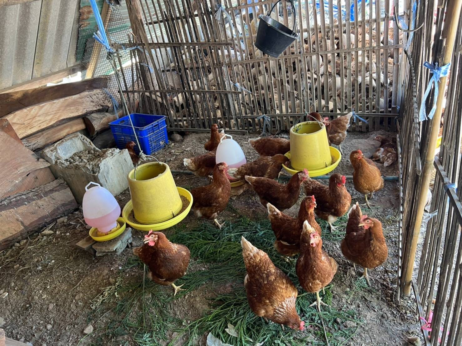 ??ข่าวประชาสัมพันธ์อำเภอบางแพ??