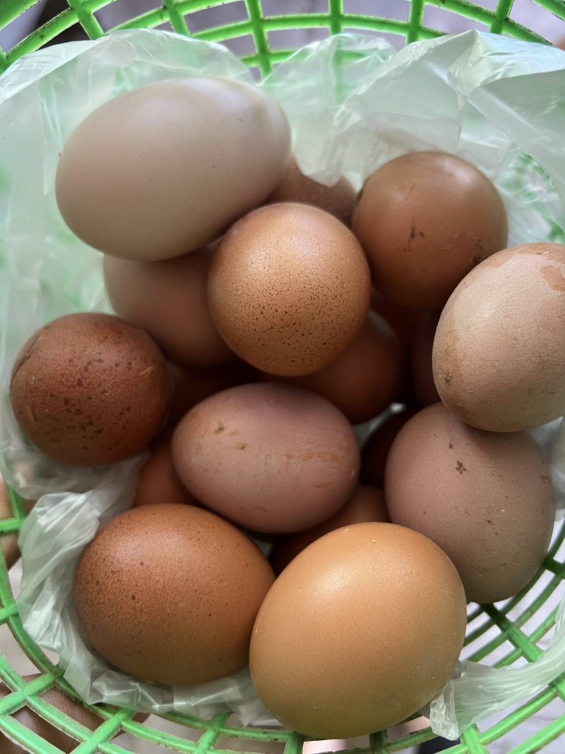 ??ข่าวประชาสัมพันธ์อำเภอบางแพ??