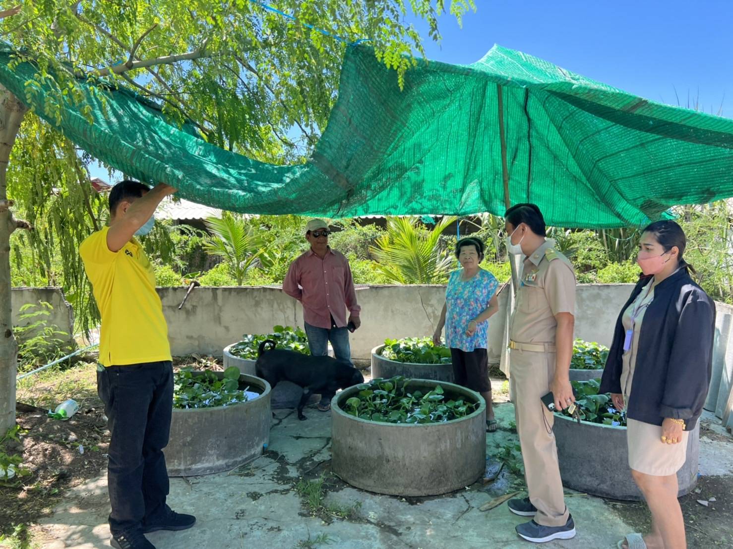 ??ข่าวประชาสัมพันธ์อำเภอบางแพ??