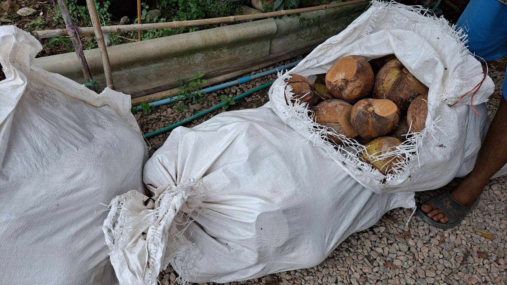 ?ข่าวประชาสัมพันธ์สำนักงานพัฒนาชุมชนอำเภอวัดเพลง จังหวัดราชบุรี