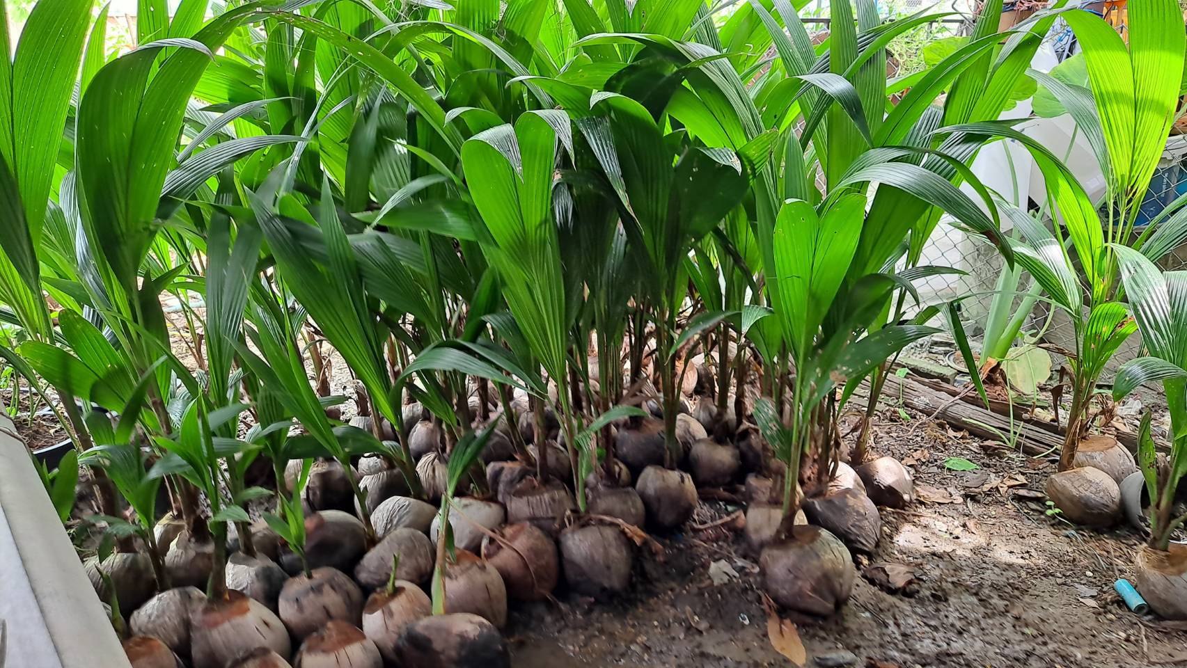 ?ข่าวประชาสัมพันธ์สำนักงานพัฒนาชุมชนอำเภอวัดเพลง จังหวัดราชบุรี