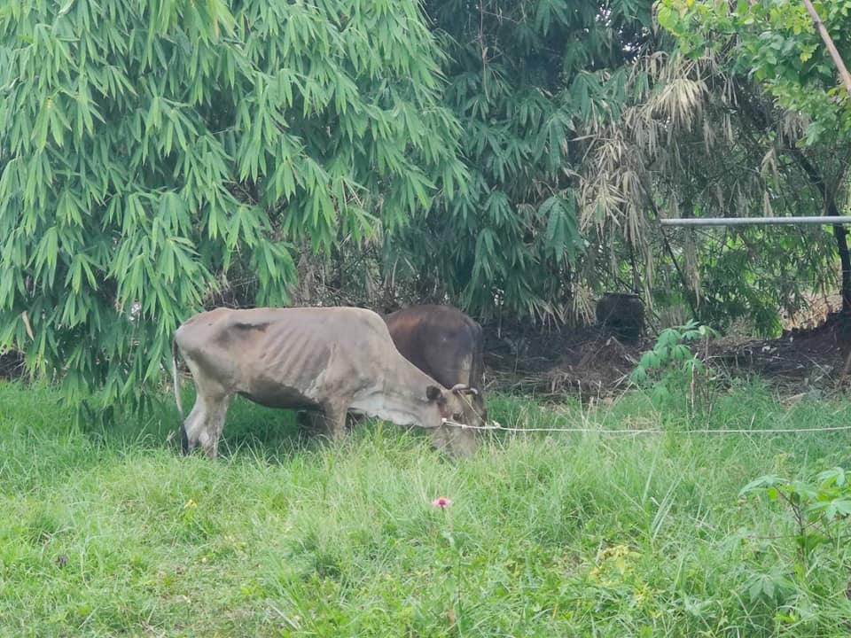 ??ข่าวประชาสัมพันธ์อำเภอบางแพ??