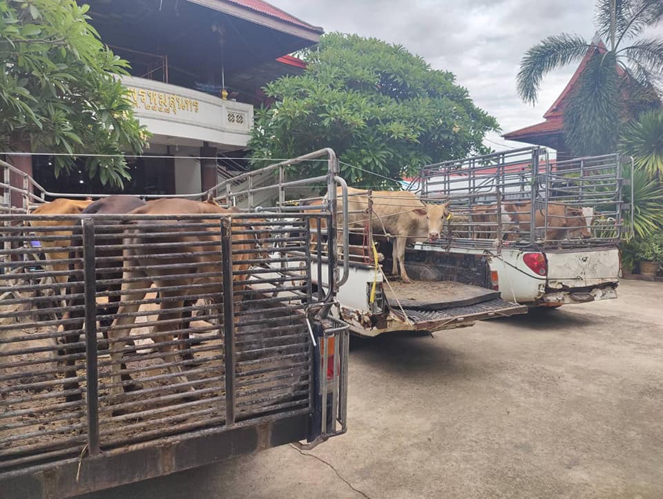 ??ข่าวประชาสัมพันธ์อำเภอบางแพ??